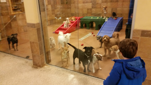 Pet Supply Store «PetSmart», reviews and photos, 310 N White Horse Pike, Lawnside, NJ 08045, USA