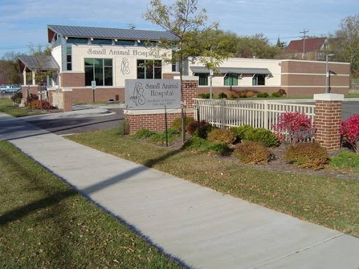 Animal Hospital «Small Animal Hospital LLC», reviews and