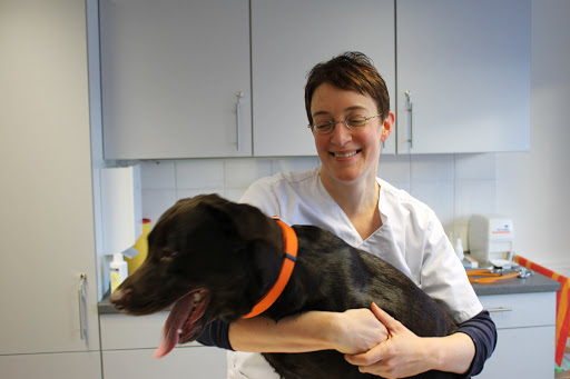 Kleintierpraxis Kruse & Thissen unter Schmallenberg, 