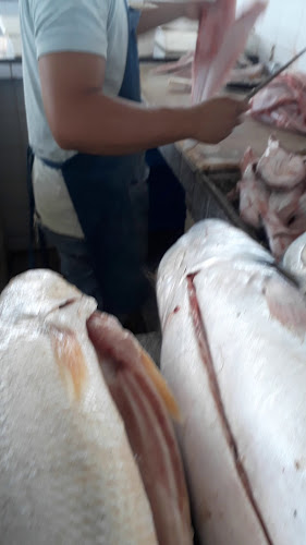 Mercado do Pescado Igarapé das Mulheres - Mercado