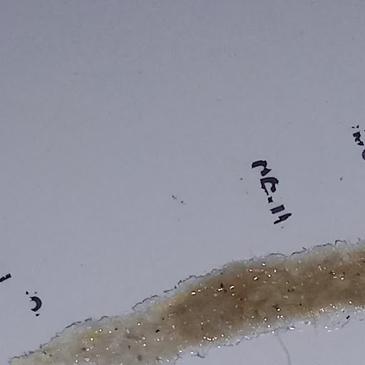 Park «West Seattle Golf Course», reviews and photos, 4600 35th Ave SW, Seattle, WA 98126, USA