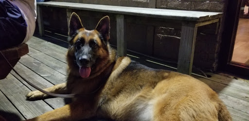 Brewery «Mayday Brewery», reviews and photos, 521 Old Salem Rd, Murfreesboro, TN 37129, USA