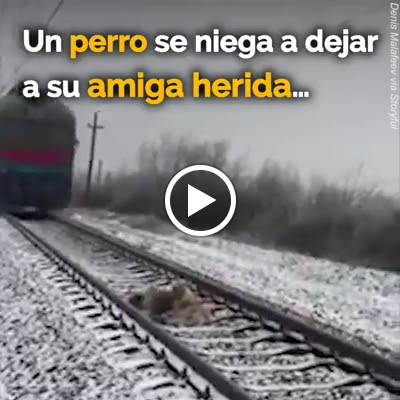 Pet Supply Store «CountryMax - Batavia», reviews and photos, 610 E Main St, Batavia, NY 14020, USA