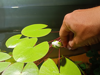 Nhà của Long