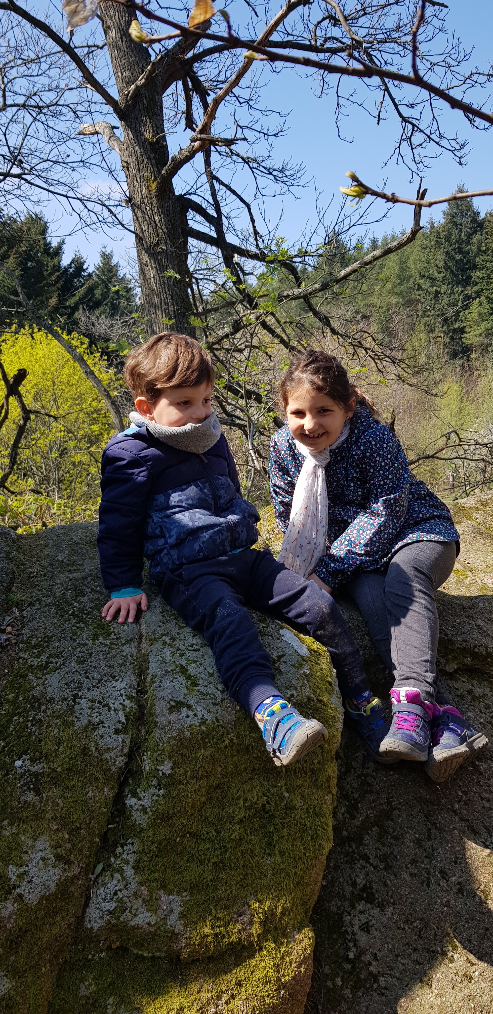 Photo n° 5 de l'avis de gérard.p fait le 15/04/2019 à 16:41