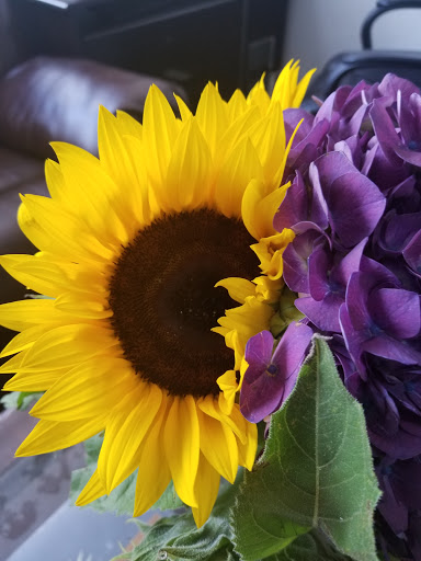 Florist «Flowers and Services», reviews and photos, 13750 Biscayne Blvd, North Miami Beach, FL 33181, USA