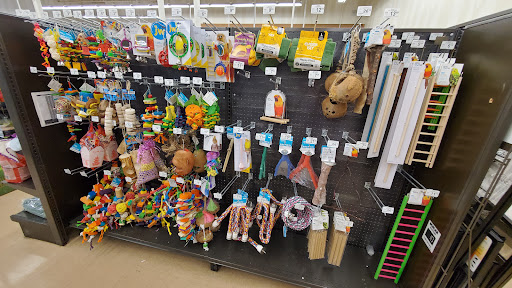 Pet Supply Store «Petco Animal Supplies», reviews and photos, 2565 NE 10th Ct, Homestead, FL 33035, USA
