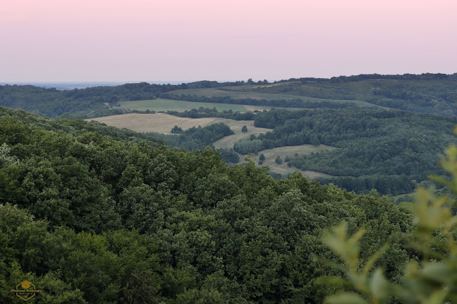 Máré-vár - Múzeum