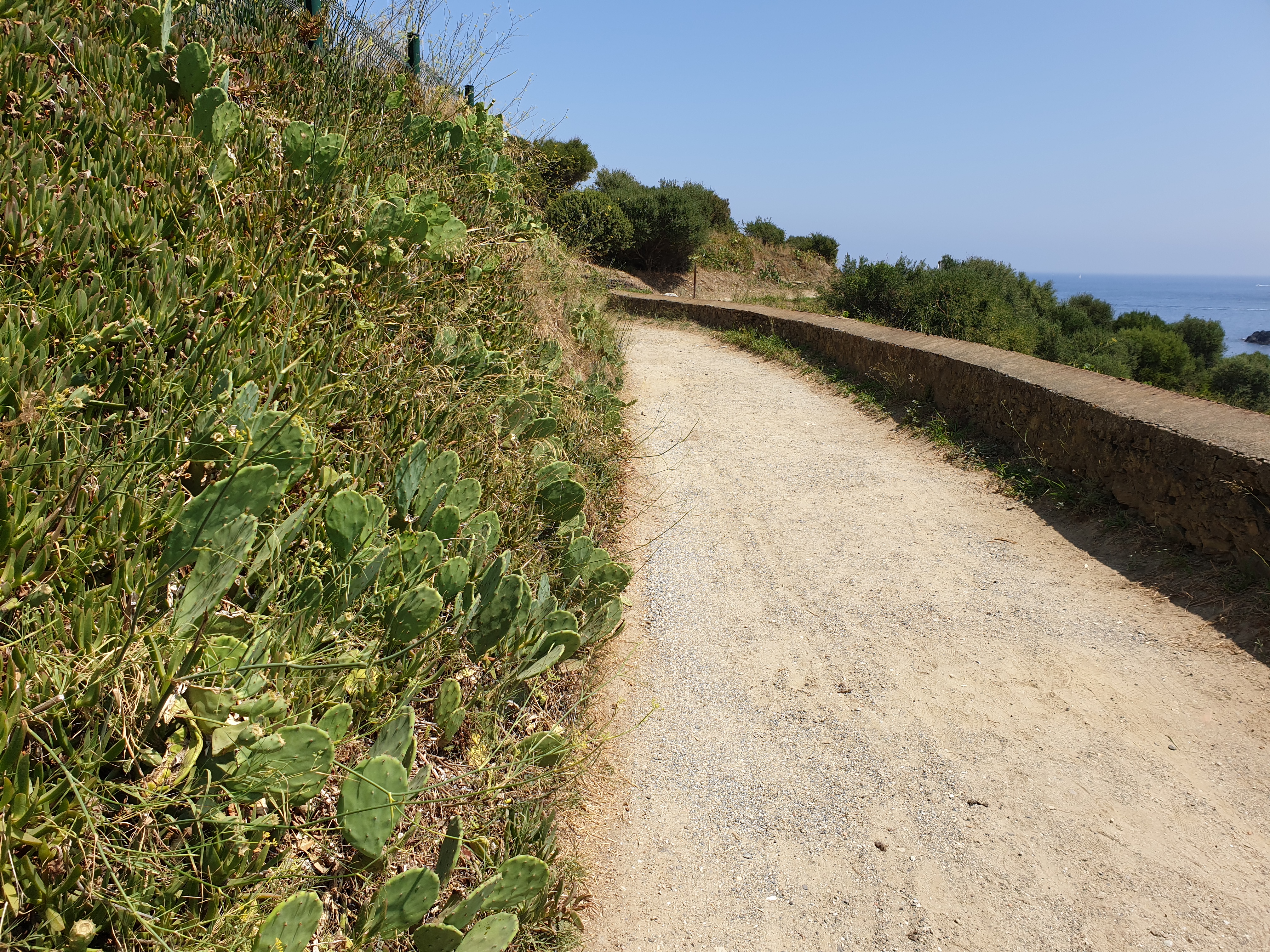 Photo n° 5 de l'avis de David.a fait le 11/08/2019 à 18:34