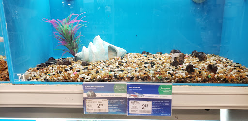 Aquarium shop Winston-Salem
