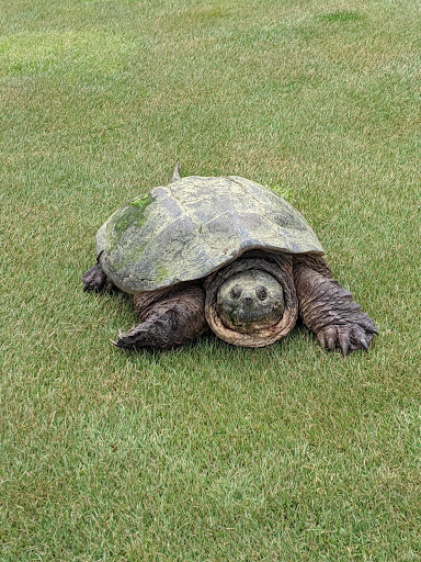 Golf Course «The Highlands of Elgin Golf Course», reviews and photos, 875 Sports Way, Elgin, IL 60123, USA