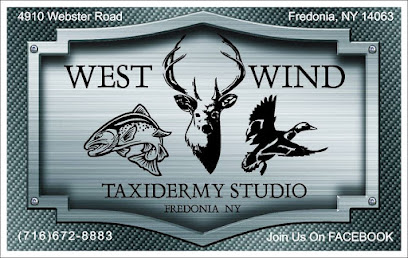 West Wind Taxidermy Studio