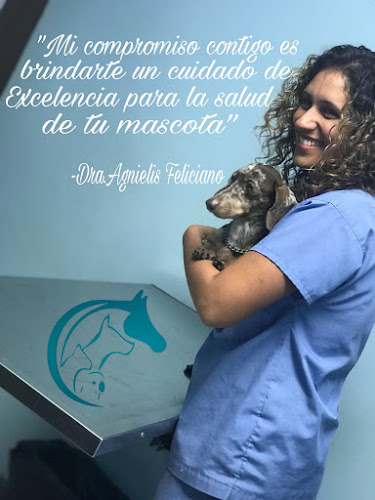 Clínica Veterinaria Mi Mascota