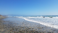 South Carlsbad beach'in fotoğrafı plaj tatil beldesi alanı