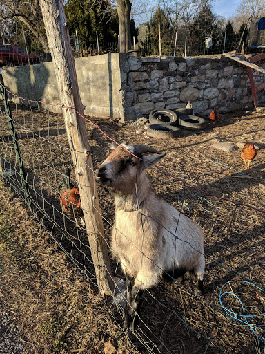 Winery «Baldwin Vineyards», reviews and photos, 176 Hardenburgh Rd, Pine Bush, NY 12566, USA