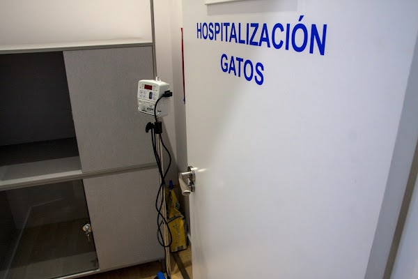Imagen de Clínica veterinaria Minuvet (8 de 11)