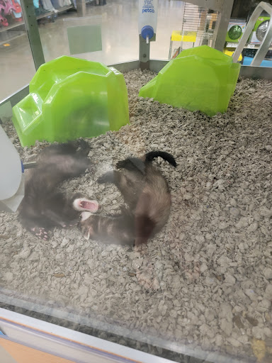 Pet Supply Store «Petco Animal Supplies», reviews and photos, 1150 S Main St, Englewood, OH 45322, USA