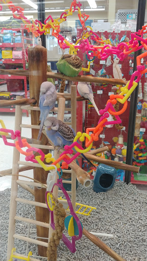 Pet Supply Store «Petco Animal Supplies», reviews and photos, 8700 Preston Rd #105, Plano, TX 75024, USA