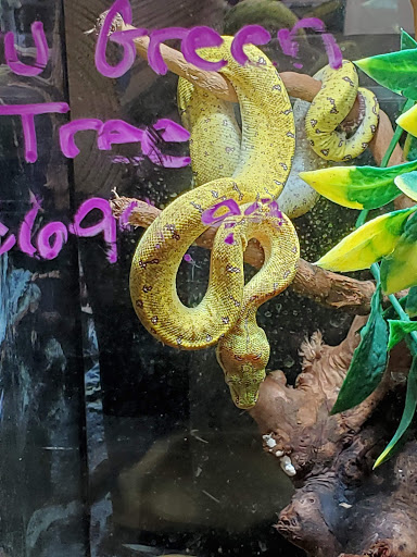 Pet Store «A Family Pet Center», reviews and photos, 6230 N Lockwood Ridge Rd, Sarasota, FL 34243, USA