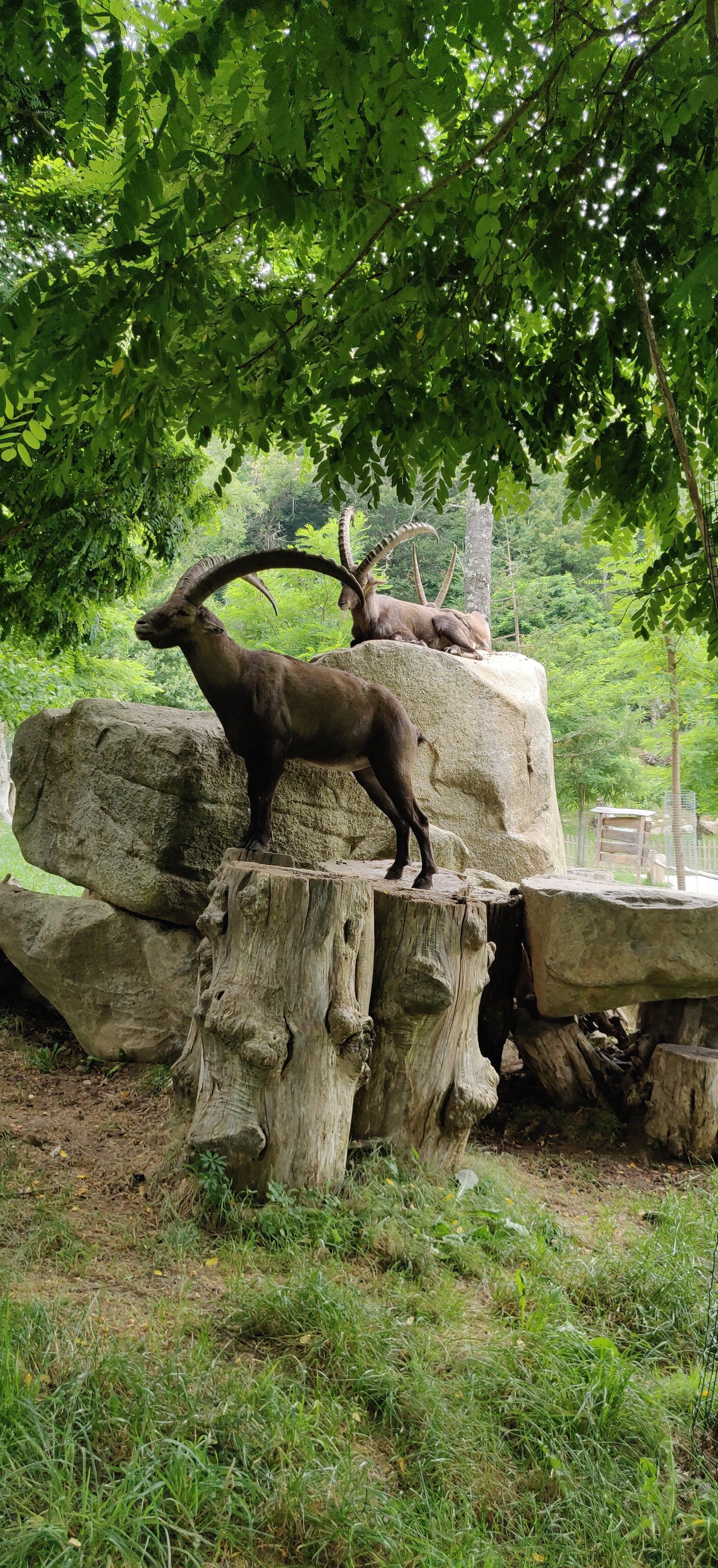 Photo n° 33 de l'avis de Frédéric.o fait le 15/11/2022 à 09:50