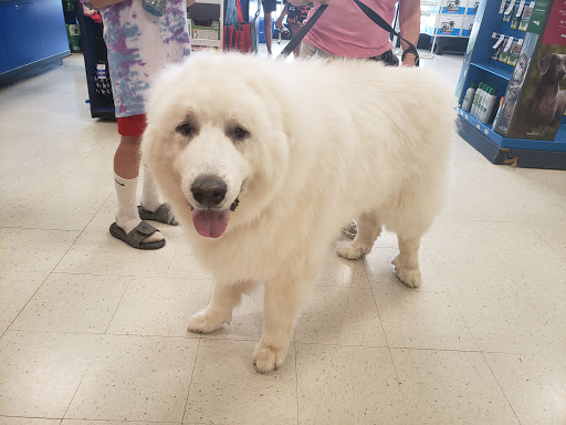 Pet Supply Store «PetSmart», reviews and photos, 3010 Brandywine Pkwy, Wilmington, DE 19803, USA
