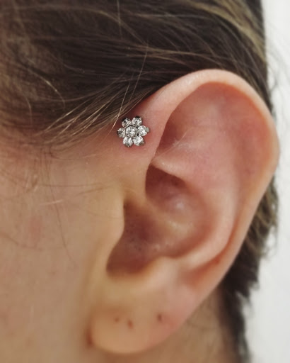 Body Piercing Shop «Skin Gallery Tattooing & Body Piercing», reviews and photos, 1402 Ogden Ave, Downers Grove, IL 60515, USA