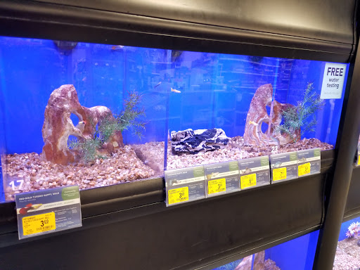 Pet Supply Store «PetSmart», reviews and photos, 601 Centerview Blvd, Kissimmee, FL 34741, USA