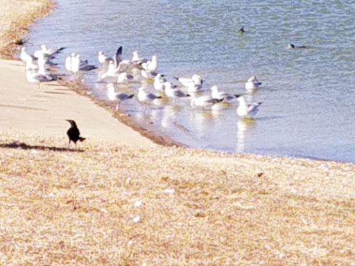 Car Wash «Jett Express The Future In Car Washing», reviews and photos, 1641 Precinct Line Rd, Hurst, TX 76053, USA