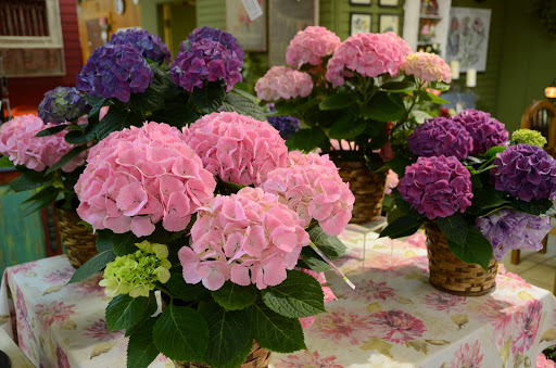 Florist «Homewood Florist», reviews and photos, 18064 Martin Ave, Homewood, IL 60430, USA