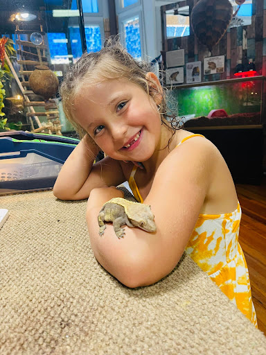 Aquarium «Team ECCO Ocean Center & Aquarium», reviews and photos, 511 N Main St, Hendersonville, NC 28792, USA