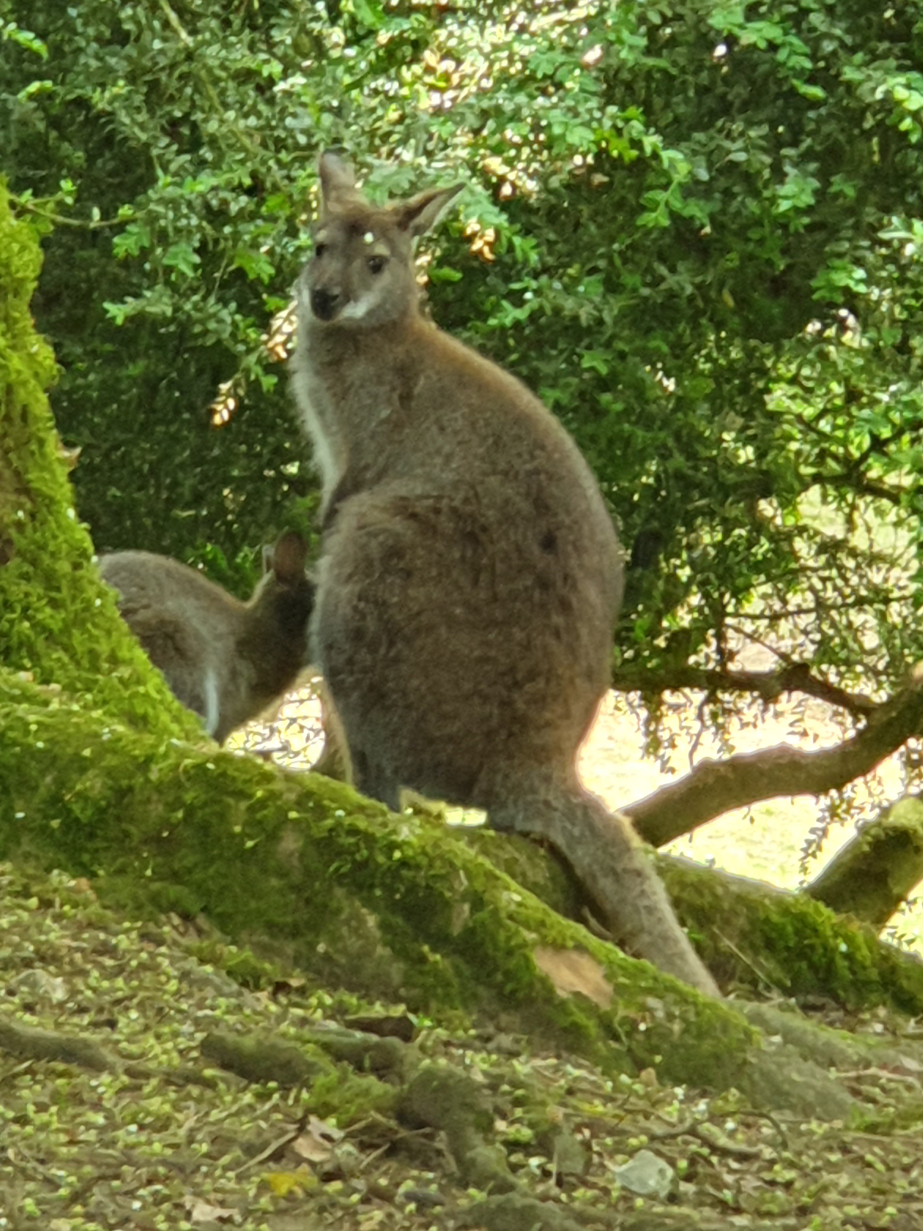Photo n° 1 de l'avis de Laetitia. fait le 25/05/2023 à 04:48