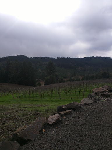 Winery «High Pass Winery», reviews and photos, 24757 Lavell Rd, Junction City, OR 97448, USA