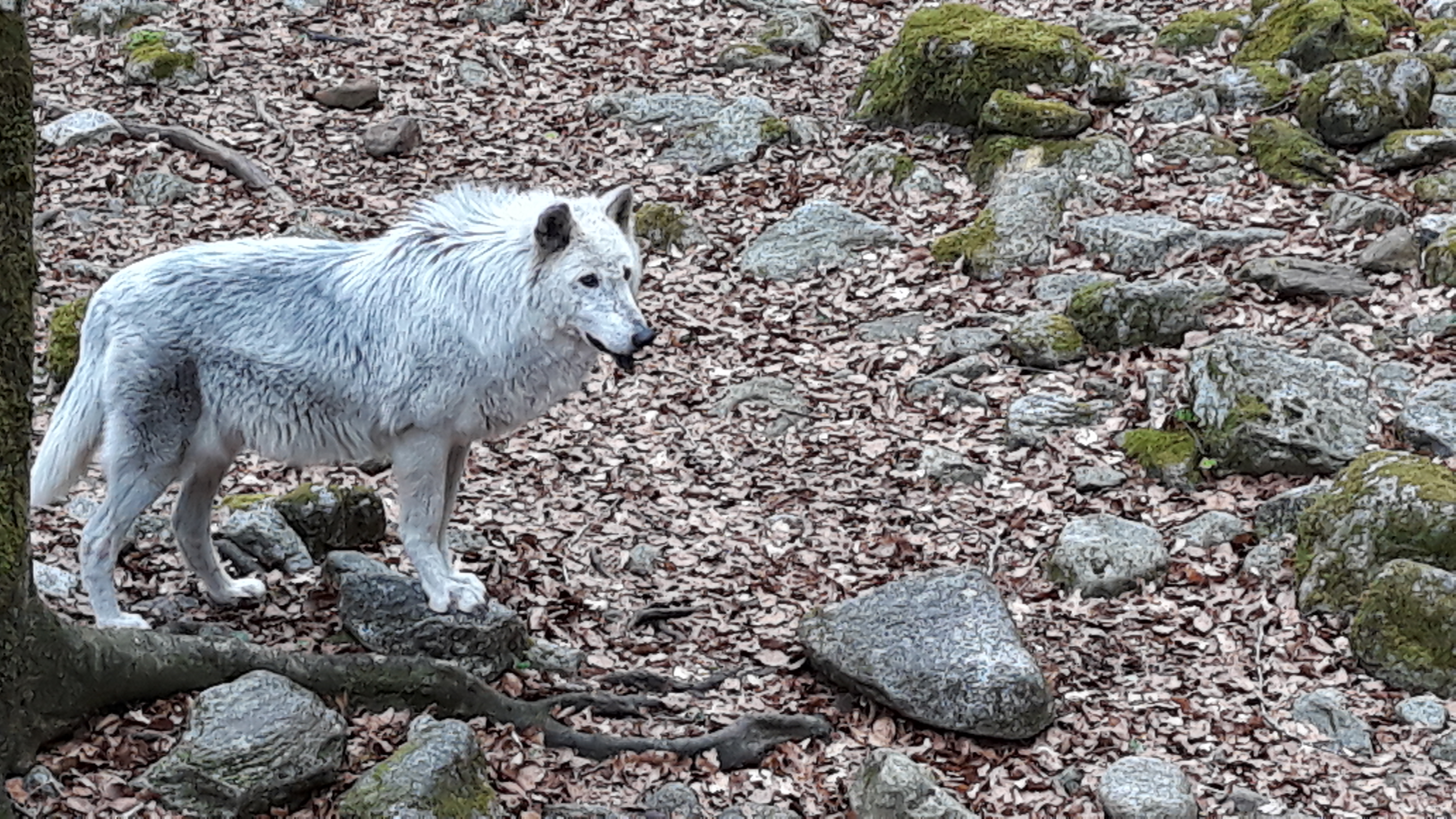 Photo n° 10 de l'avis de Anne.a fait le 24/04/2019 à 15:11