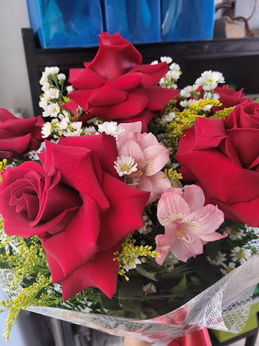 Flores Bellas - Floricultura