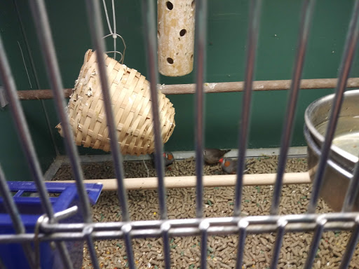 Pet Supply Store «Pet Club Santa Rosa», reviews and photos, 1935 Santa Rosa Ave, Santa Rosa, CA 95407, USA