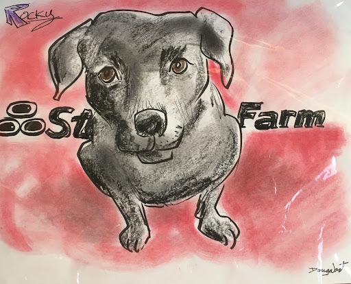 Insurance Agency «Anthony Raggi - State Farm Insurance Agent», reviews and photos