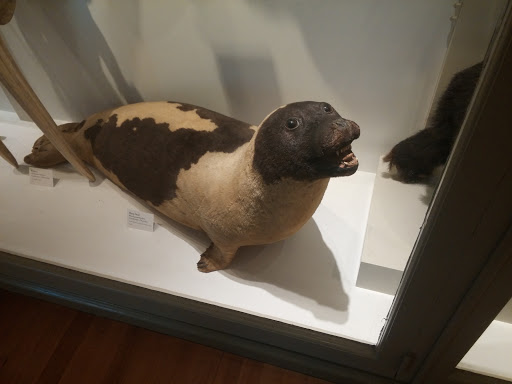 Museum «Peabody Museum of Archaeology and Ethnology», reviews and photos, 11 Divinity Ave, Cambridge, MA 02138, USA