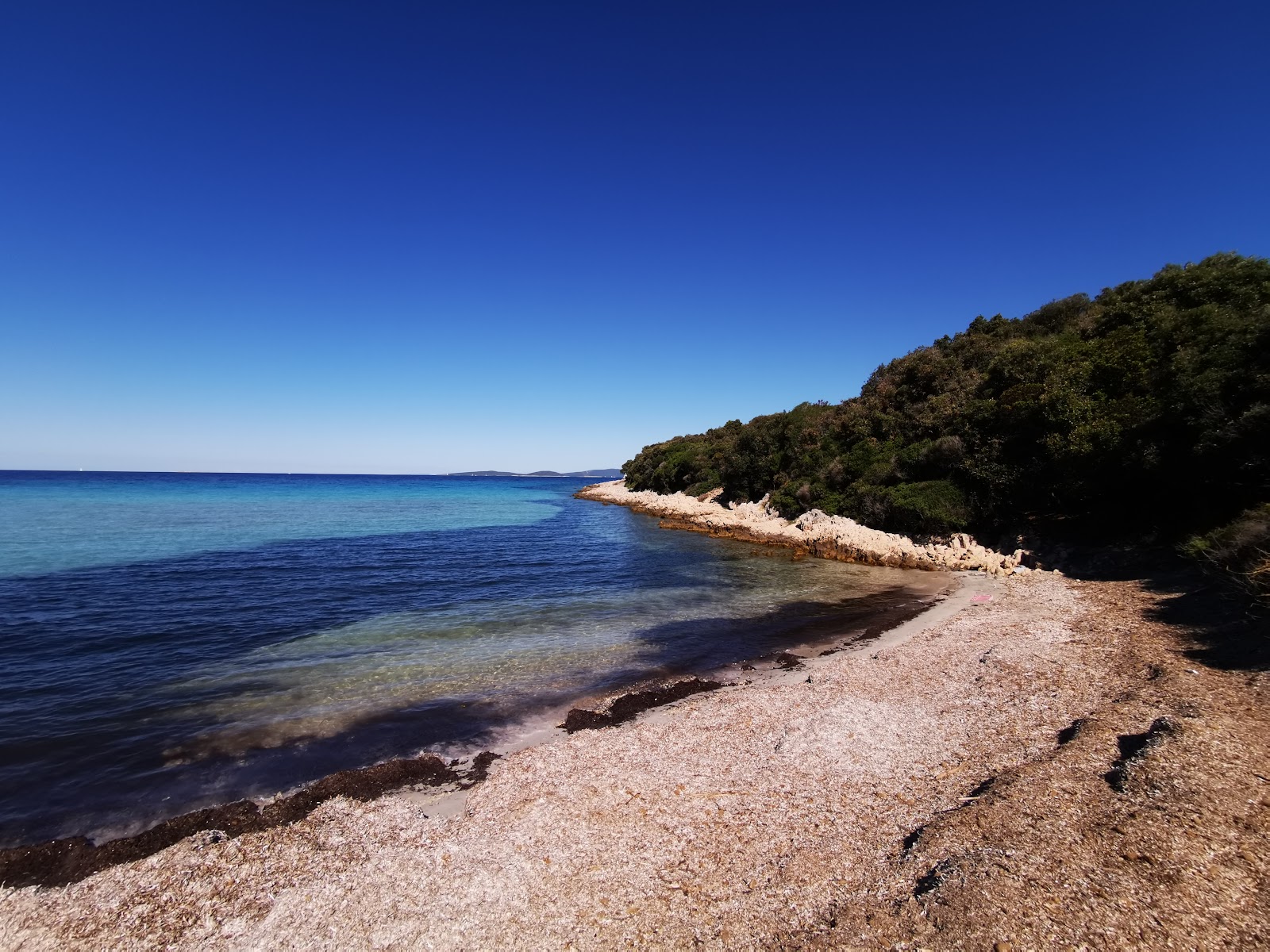 Fotografija Pernastica beach divje območje