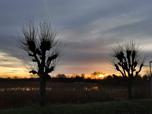 Parkering Ribe - Aabenraa