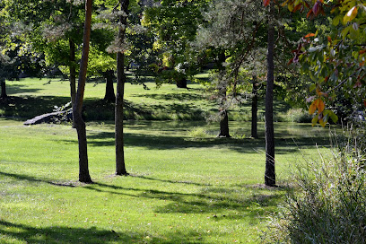 Waldo Semon Woods Conservaton Area