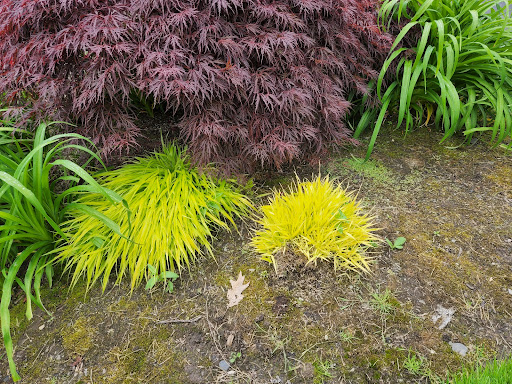 Golf Course «Colwood Golf Center», reviews and photos, 7313 NE Columbia Blvd, Portland, OR 97218, USA