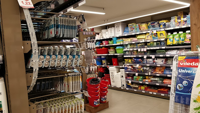 Μασούτης Ανοιχτές ώρες