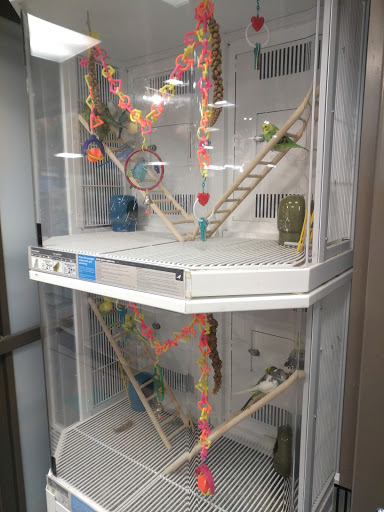 Pet Supply Store «Petco Animal Supplies», reviews and photos, 3050 N Rock Rd, Wichita, KS 67226, USA