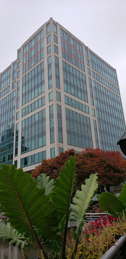 Gift Shop «Edible Arrangements», reviews and photos, 95 Barnes Rd, Wallingford, CT 06492, USA