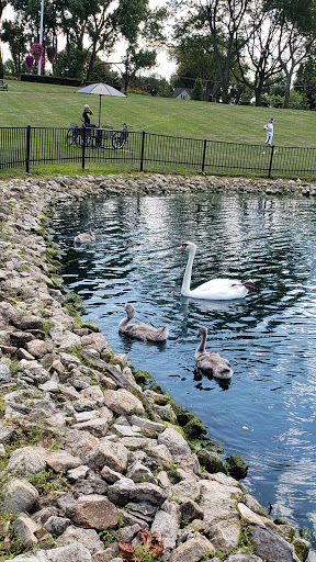 Coffee Shop «Starbucks», reviews and photos, 102 E Irving Park Rd, Itasca, IL 60143, USA