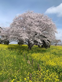 中の島公園
