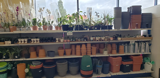 Discount Store «99 Cents Only Stores», reviews and photos, 17040 Chatsworth St, Granada Hills, CA 91344, USA