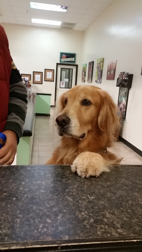 Pet Boarding Service «All About Pets», reviews and photos, 130 Arrow Rd #102, Hilton Head Island, SC 29928, USA