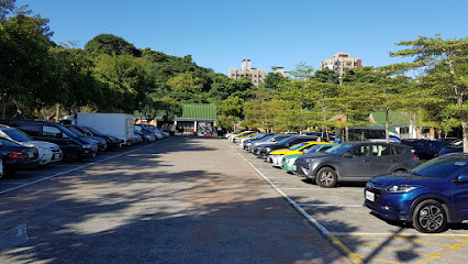 南港公园平面停车场