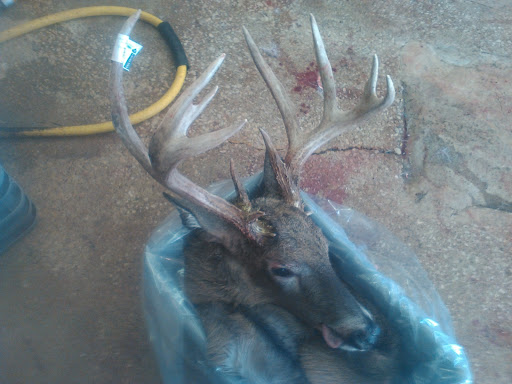 Butcher Shop «Bloomington Meats», reviews and photos, 2401 Bunn St, Bloomington, IL 61704, USA